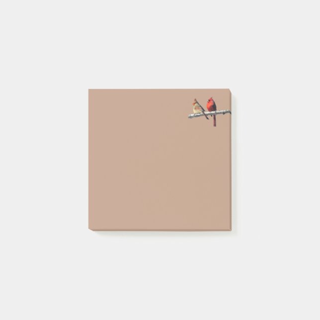 Tysta underverk lägger upp den anteckningar om kar post-it block (Framsida)