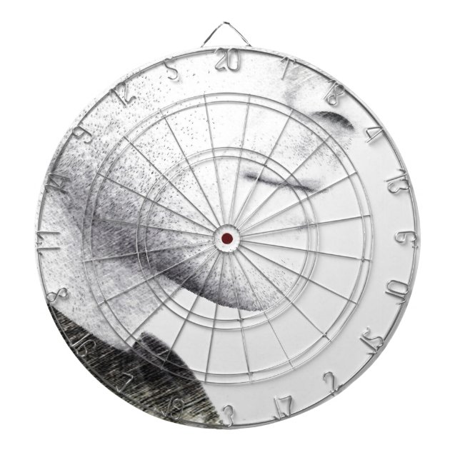 Tystnad Darttavla (Framsidan)