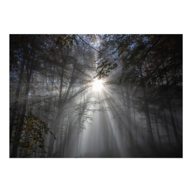 Tystnad Fototryck (Framsidan)