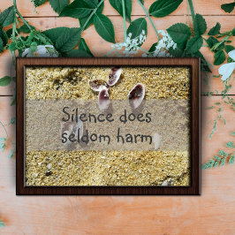 Tystnad skadar sällan klokheten att säga poster