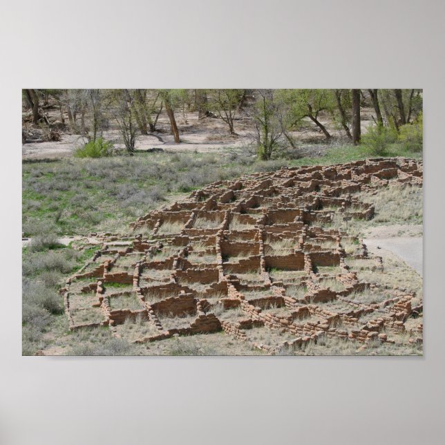 Tyuonyi Ruins, Bandelier National Monument, N.M. Poster (Framsidan)