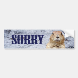 Tyvärr på Groundhog-dagen Bildekal