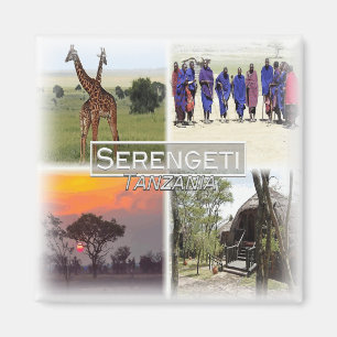 TZ0020-Afrikan, Tanzania, Serengeti NV Fridge Magnet