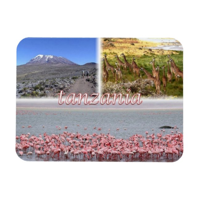 TZ Tanzania - Magnet (Horisontell)