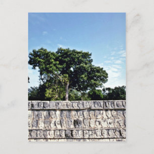 Tzompantli-Wall of Döskallars, Chichen Itza Vykort