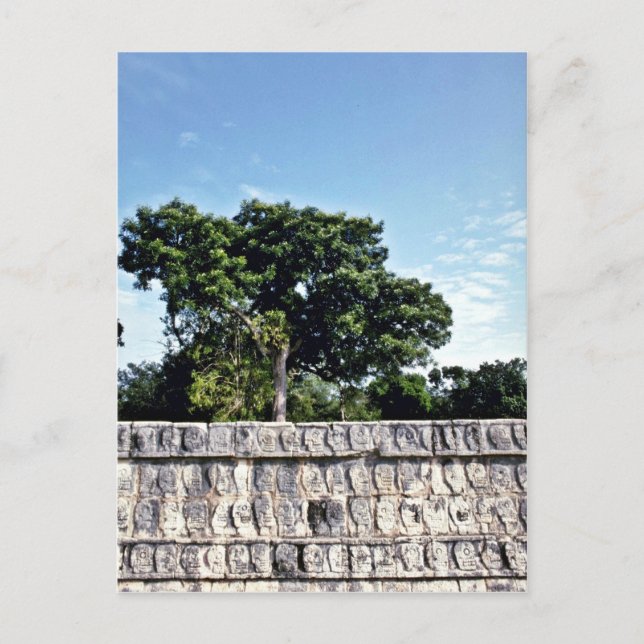 Tzompantli-Wall of Döskallars, Chichen Itza Vykort (Framsida)