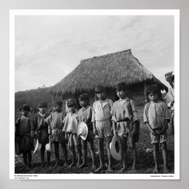 Tzotzil Maya ~ Magdalenas, Chiapas, Mexiko Poster (Framsidan)