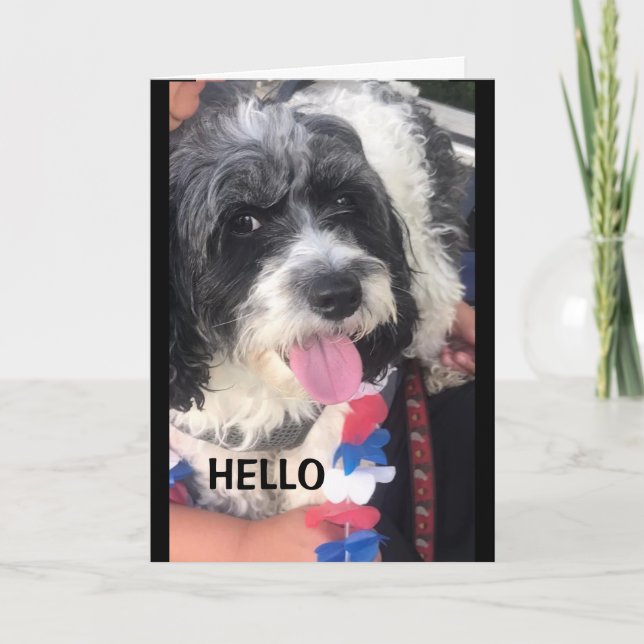 U FABULÖST OCH **60* BIRDAGKORT KORT (Framsida)