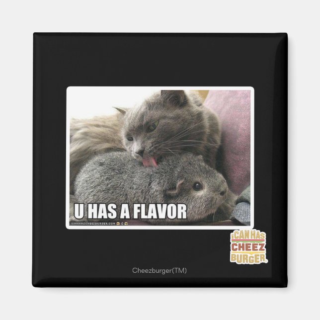 U HAR EN FLAVOR MAGNET (Framsidan)