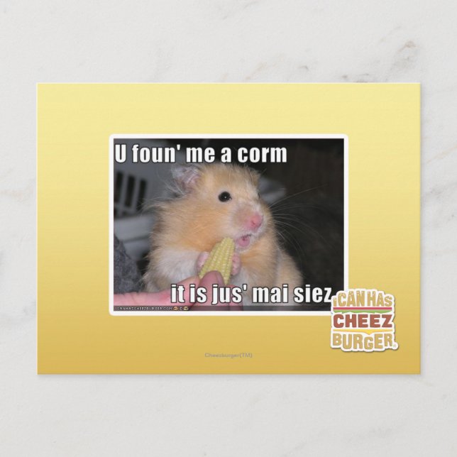 U hittade mig i maj vykort (Framsida)