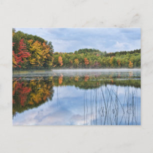 U. P. Michigan Fall Reflection Vykort