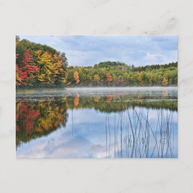 U. P. Michigan Fall Reflection Vykort (Framsida)