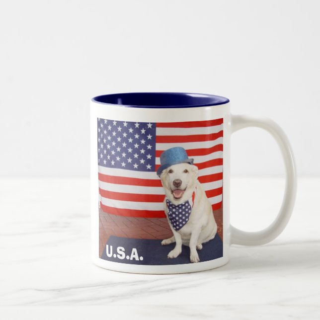 U.S.A. Mugg (Höger)