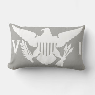 U.S. Den Virgin Islands flagga kudder Lumbarkudde