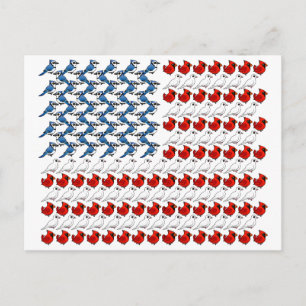 U.S. Flagga of Birds Vykort