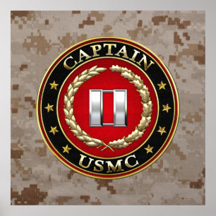 U.S. Flottor: Leda (USMC-Capt) [3D] Poster