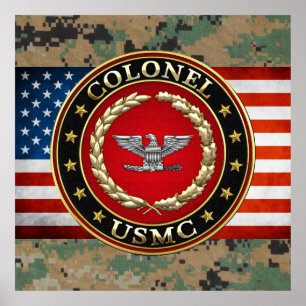 U.S. Flottor: Överste (USMC-Col) [3D] Poster