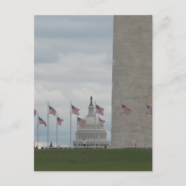 U.S. Huvudstad och Washington Monument Vykort (Framsida)