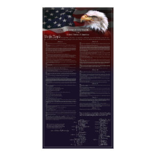 U.S. KONSTITUTION White Pinline Gräns Fototryck