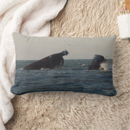 U.S.S. Atlantus Conlean Shipwreck, NJ Pillow Lumbarkudde