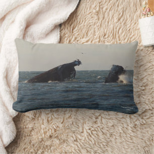 U.S.S. Atlantus Conlean Shipwreck, NJ Pillow Lumbarkudde