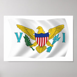 U.S. Virgin Islands Flagga Poster Skriv ut