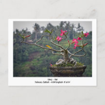 Ubud, Bali Indonesia Helgdag Travel Postcard