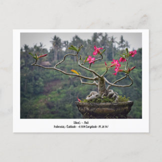Ubud, Bali Indonesia Helgdag Travel Postcard Helg Vykort