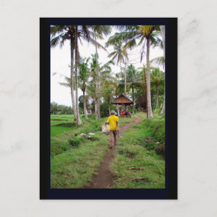 Ubud Bali Vykort