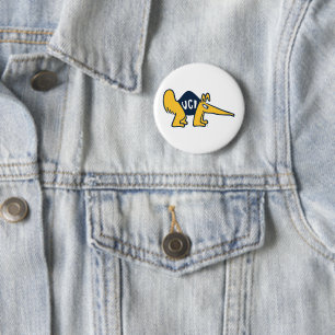 UC Irvine UCI Anteaters Knapp