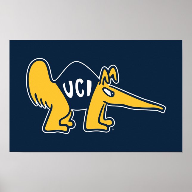 UC Irvine | UCI Anteaters Poster (Framsidan)