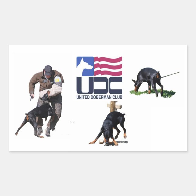 UDC IPO-etikett Rektangulärt Klistermärke (Framsida)