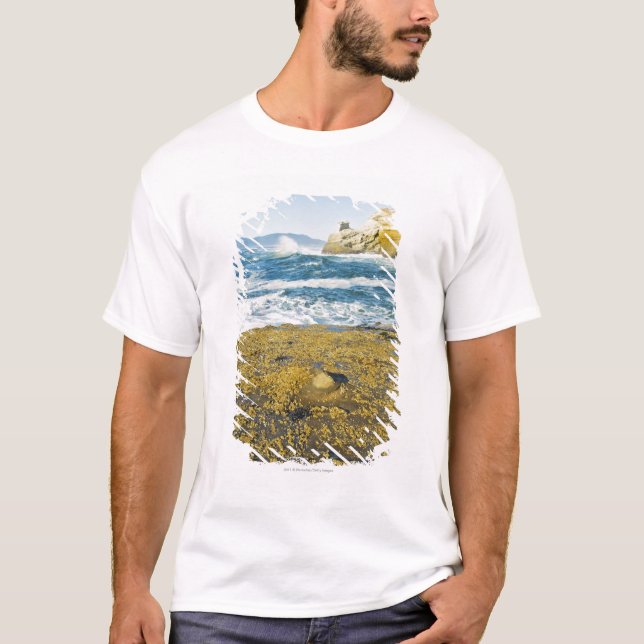 Udd Kiwanda och Stilla havet T-shirt (Framsida)