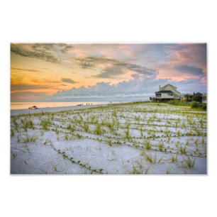 Udd San Blas Florida Fototryck