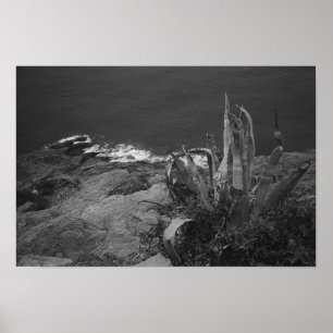 Udd Sounion, Grekland Poster