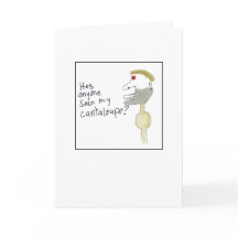 Udda Illustrerad Saknad Cantaloupe