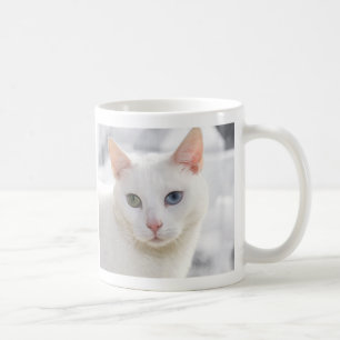 udda vita katt nära ansikte kaffemugg