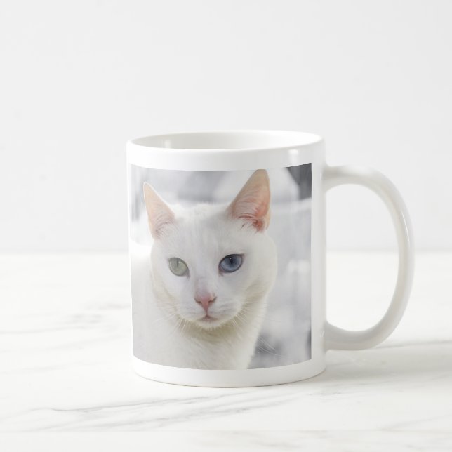 udda vita katt nära ansikte kaffemugg (Höger)