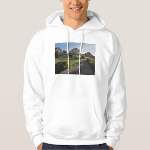 UddAnn morgon 2013 Hoodie