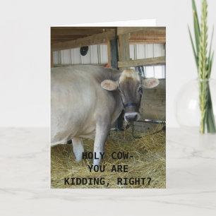 UDDERLY FAB 40 BIRTHDAY HUMOR KORT