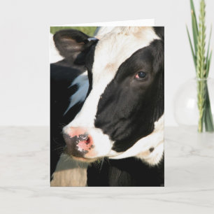 Udderly grattis på födelsedagen kort