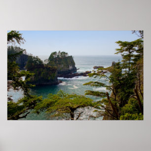 Uddsmickeröppning, Washington tryck
