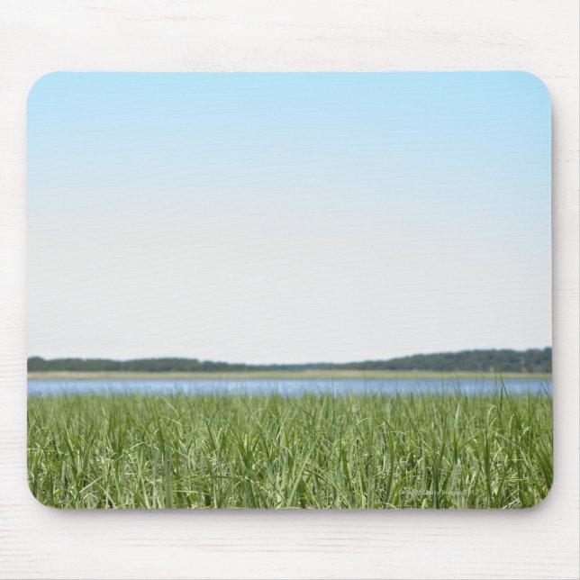 UddtorskMarsh Musmatta (Framsidan)