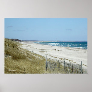 Uddtorskstrand Poster