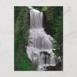 Udine Falls, Yellowstone Park, Wyoming Postcard Vykort