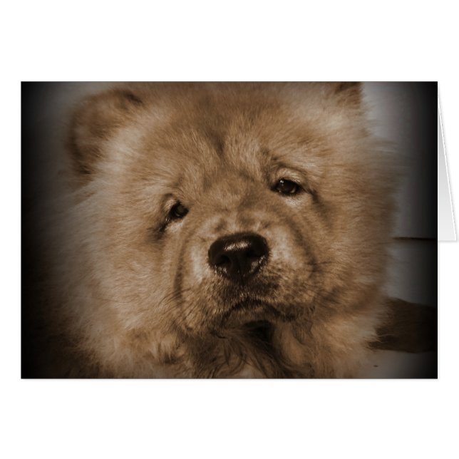 Udon,Min Baby OBS Kort (Framsidan Horizontal)