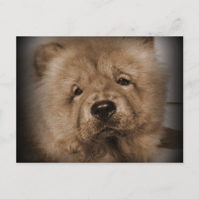 Udon,Min Baby Vykort (Framsida)