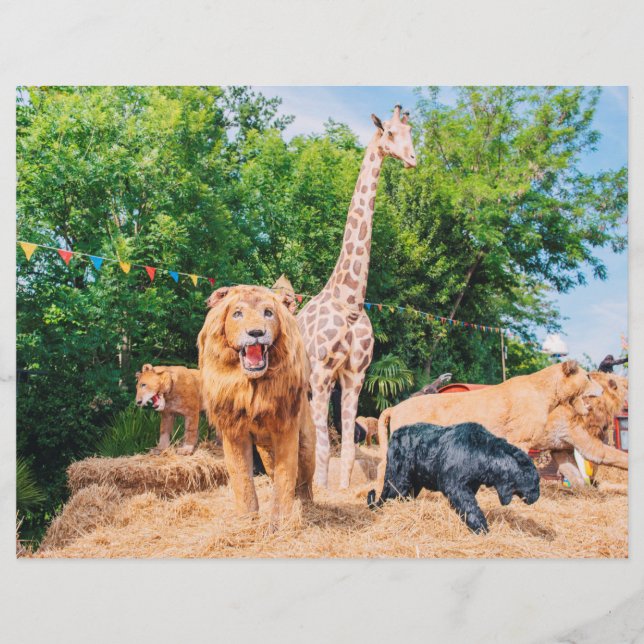 Udstoppade djur reklamblad (Framsidan)