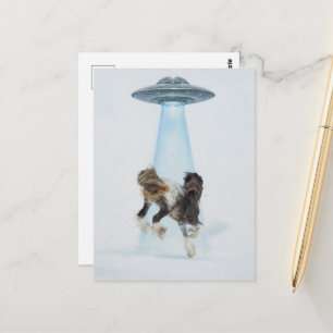 UFO som hämtar en vacker häst Vykort