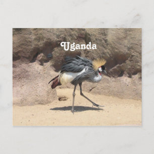 Uganda Crested Crane Vykort